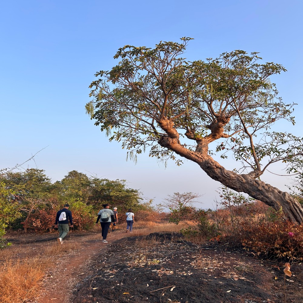North Goa : Wilderness Hike