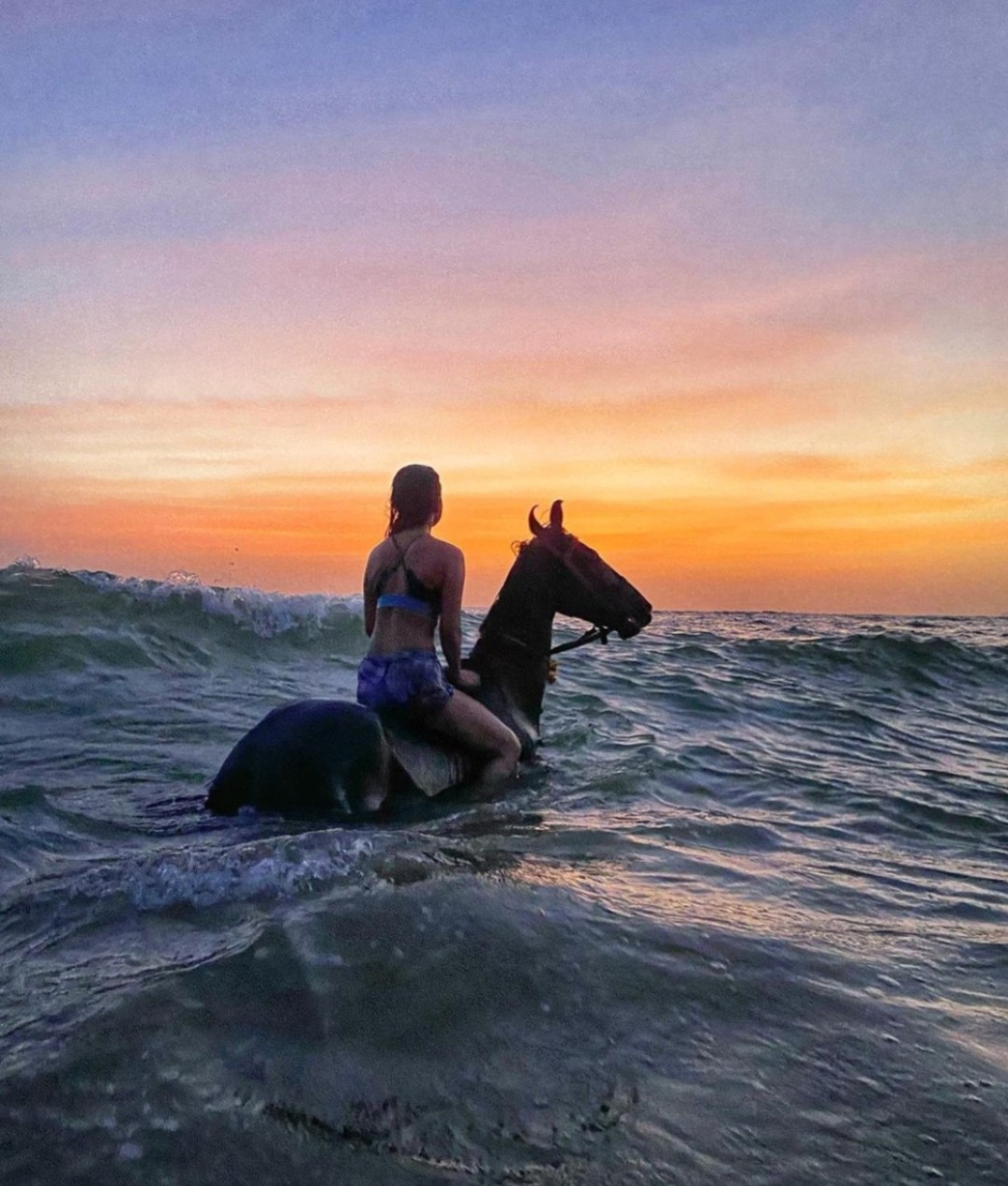 South Goa : Ride & Dive - Swimming with Horses