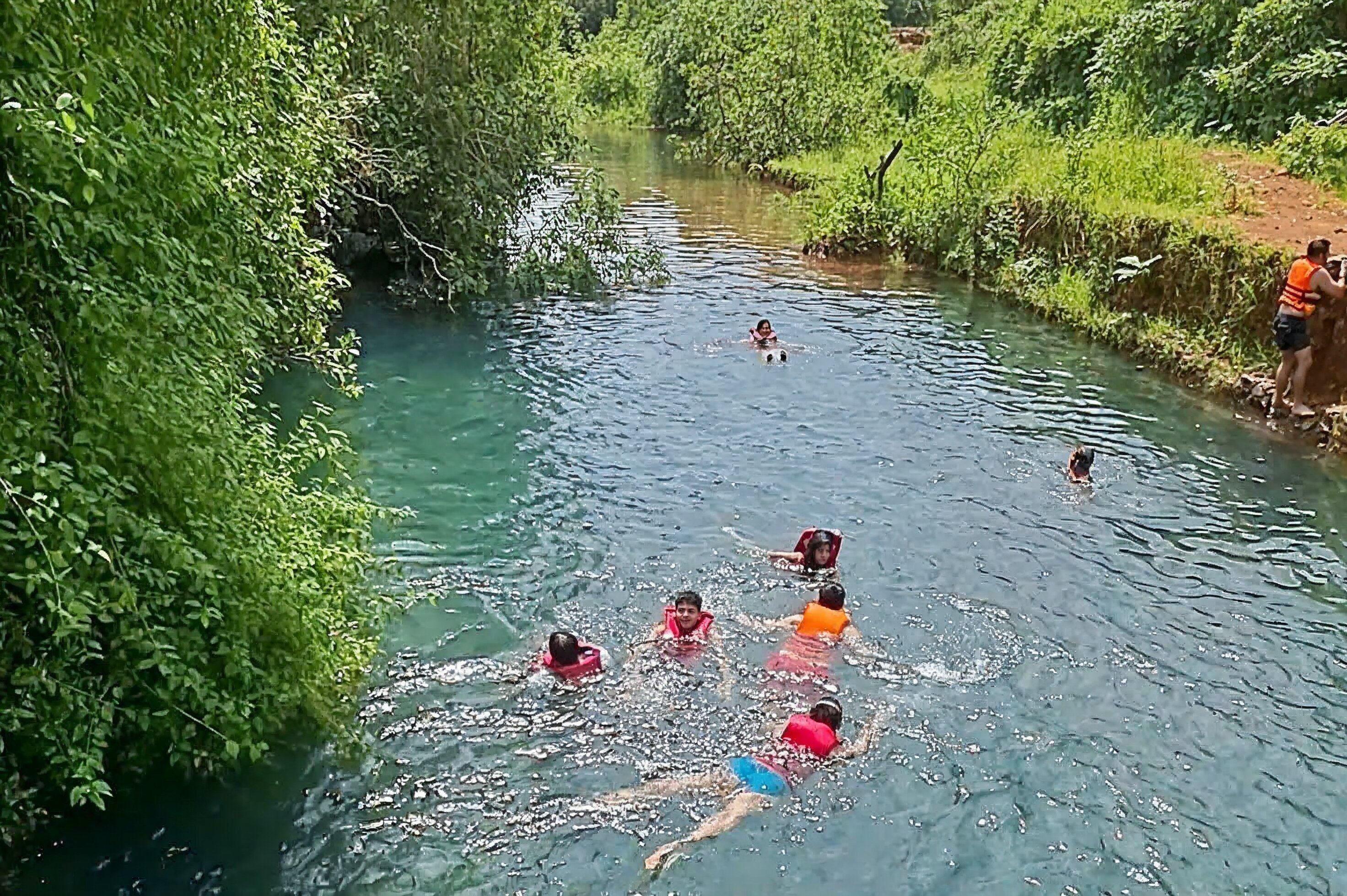 North Goa : Khondd - The Pool by The Meadow