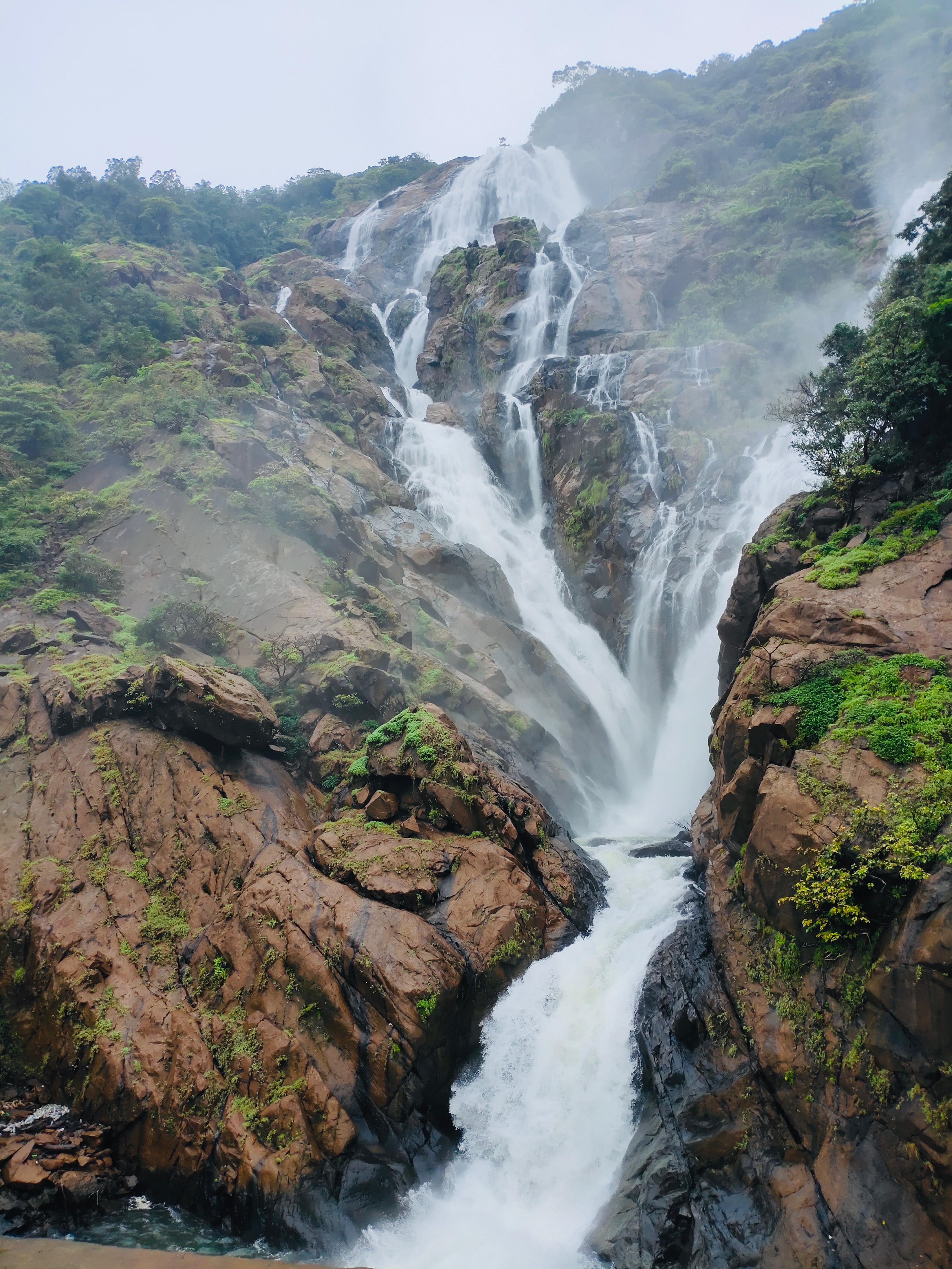 South Goa : Guided Dudhsagar Waterfall Trek