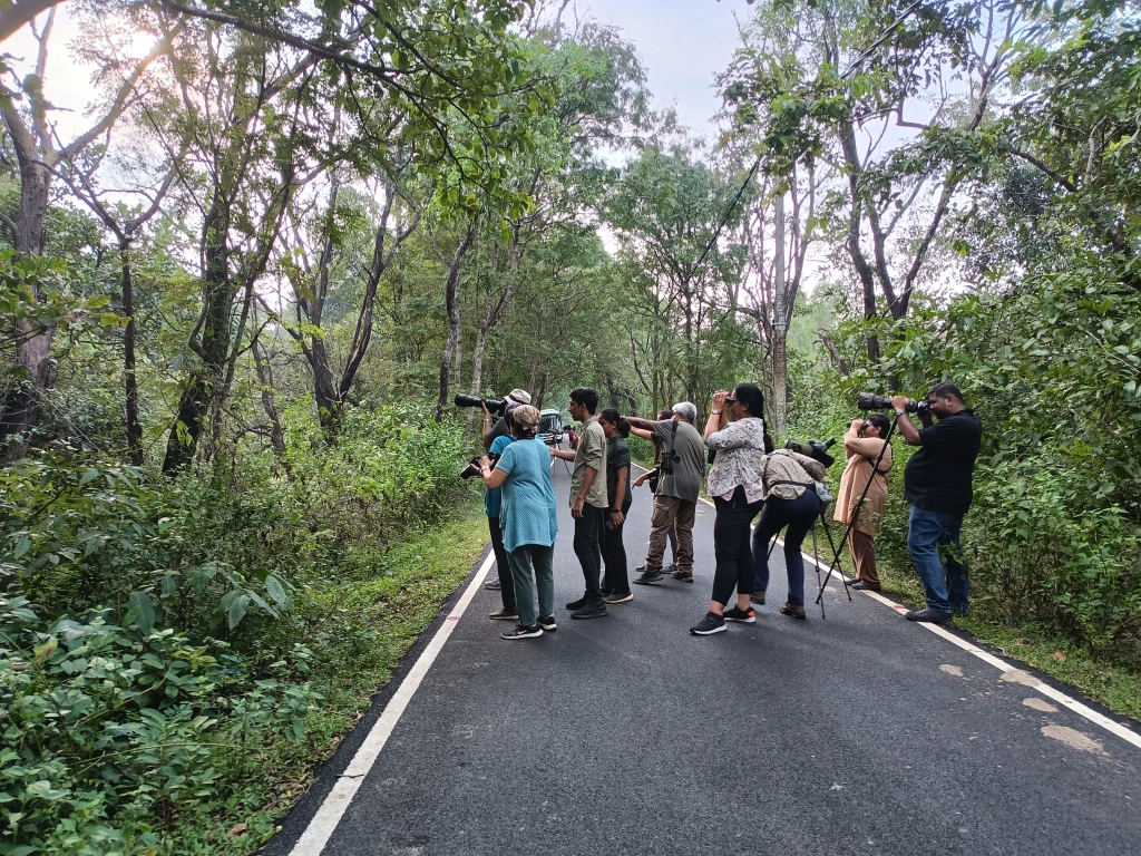 Goa : Birdwatching at Bondla WLS