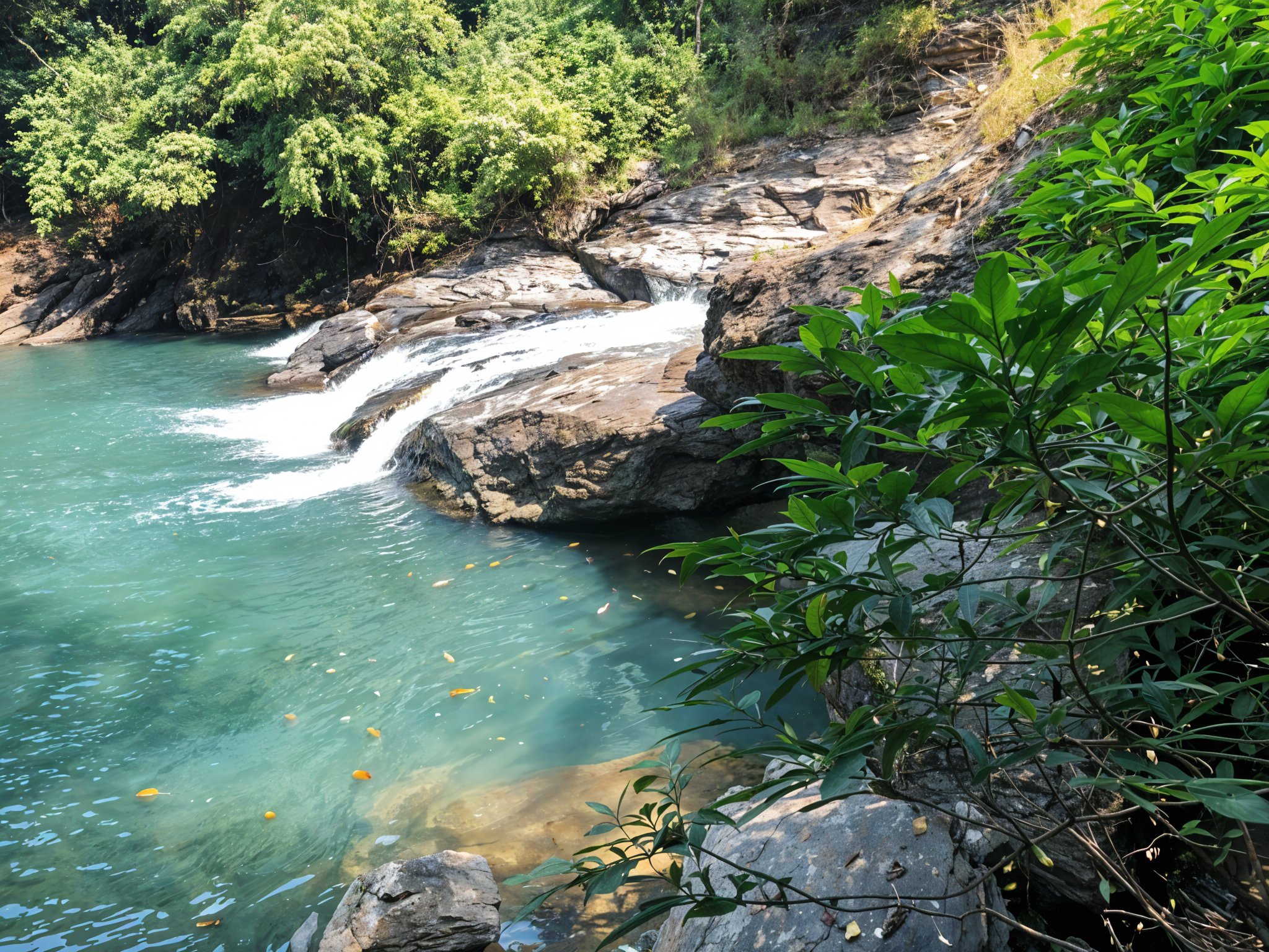 North Goa : Day Trip to Sanvordem Waterfall