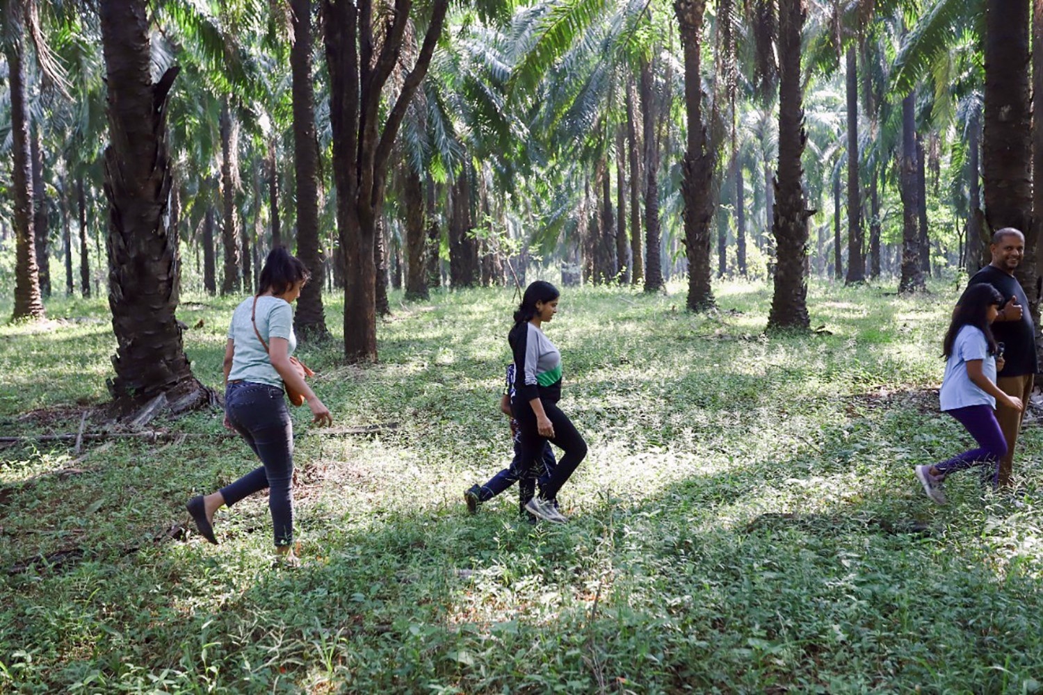 North Goa : Forest and RiverTrail + Home-style Meals