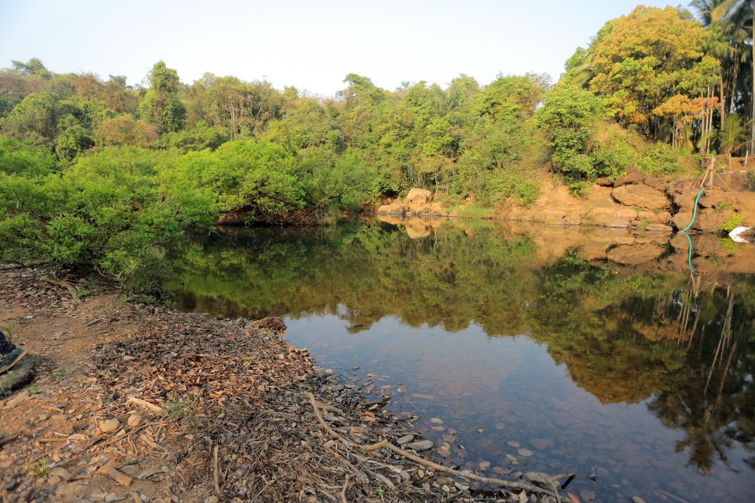 North Goa : Relax by the River - Forest Day Out with Goan Cuisine + River Activities