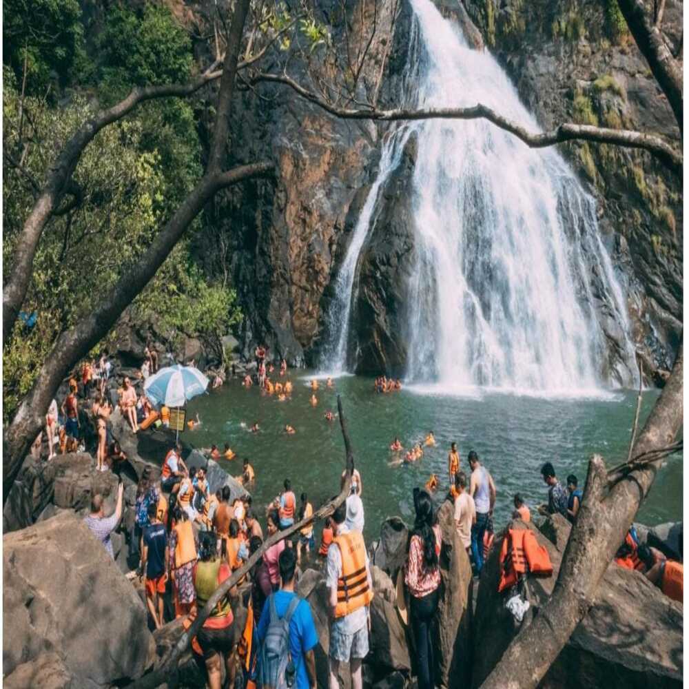 South Goa: Dudhsagar Waterfall with Bondla Wildlife Experience