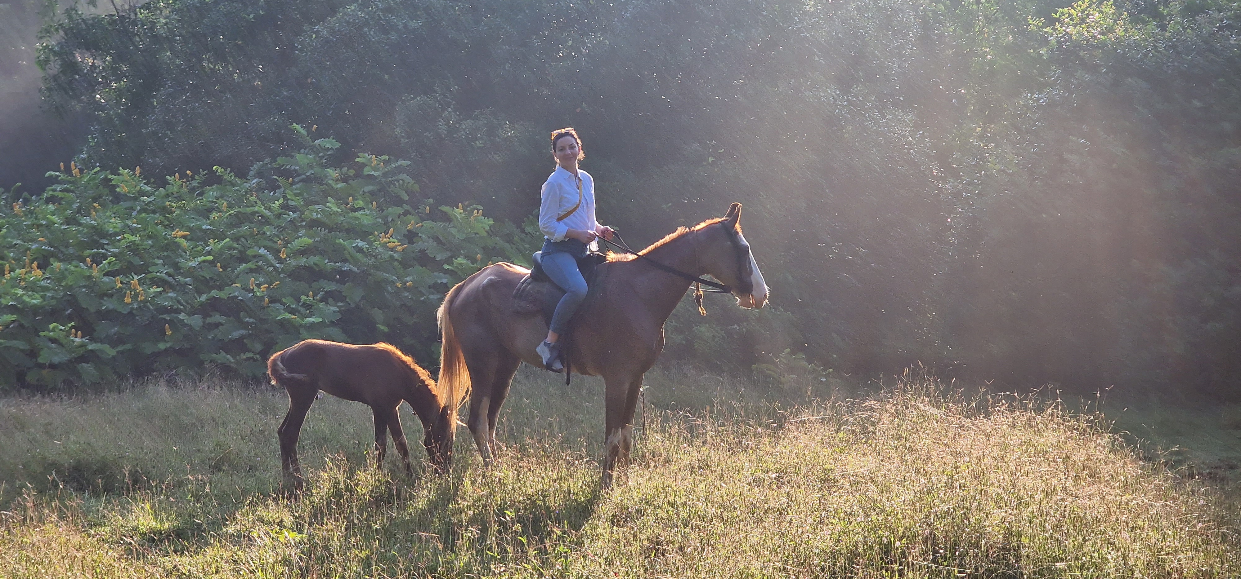 South Goa: Guided Jungle Horse Riding Tour