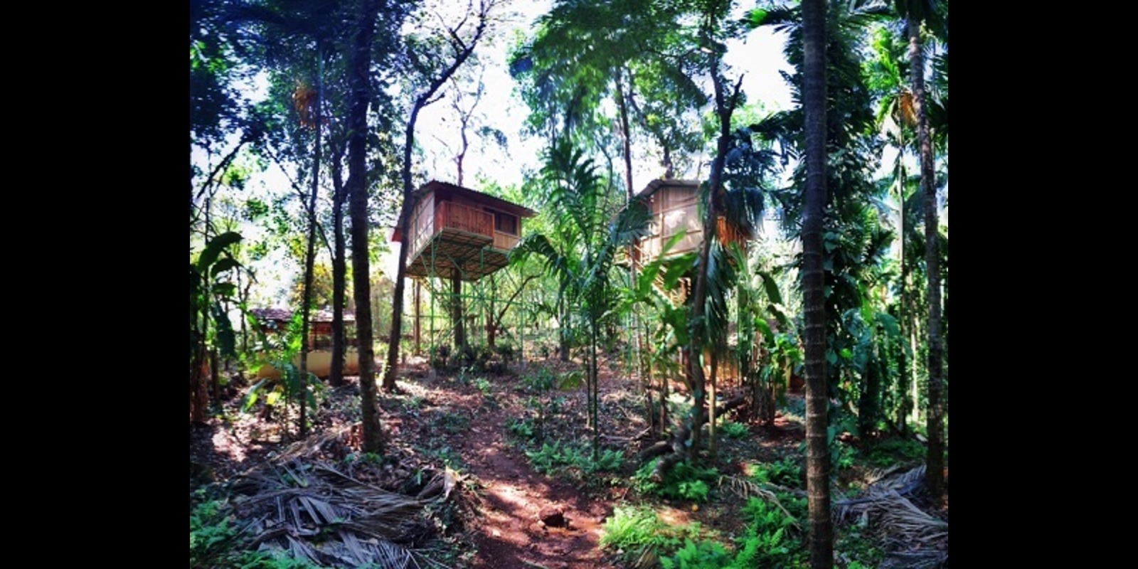 South Goa: Tanshikar Spice Farm Experience with Lunch