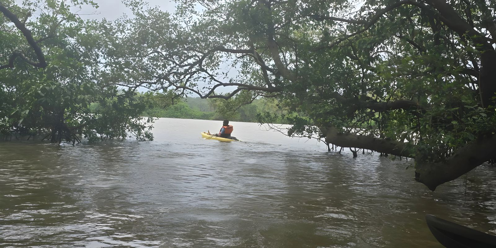 North Goa : Backwater Kayaking