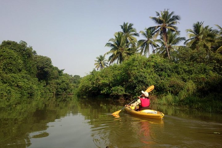 North Goa : Kayaking at Revora