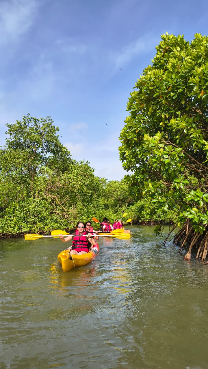 North Goa : Skyview Kayaking Adventurer
