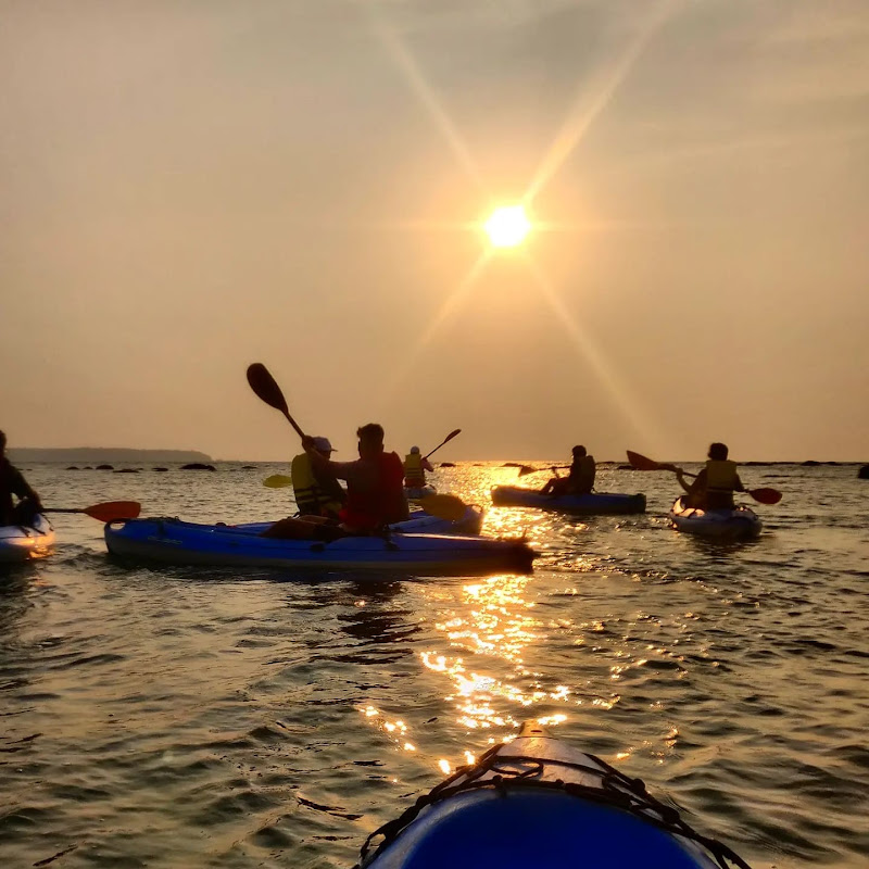 North Goa : Sunset Kayaking at Bambolim