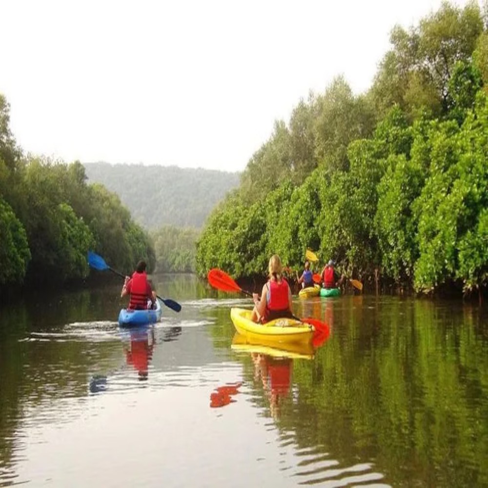 South Goa : Backwater Kayaking on Agonda River