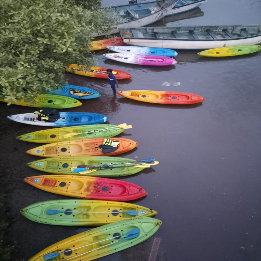 South Goa : Backwater Kayaking on Agonda River
