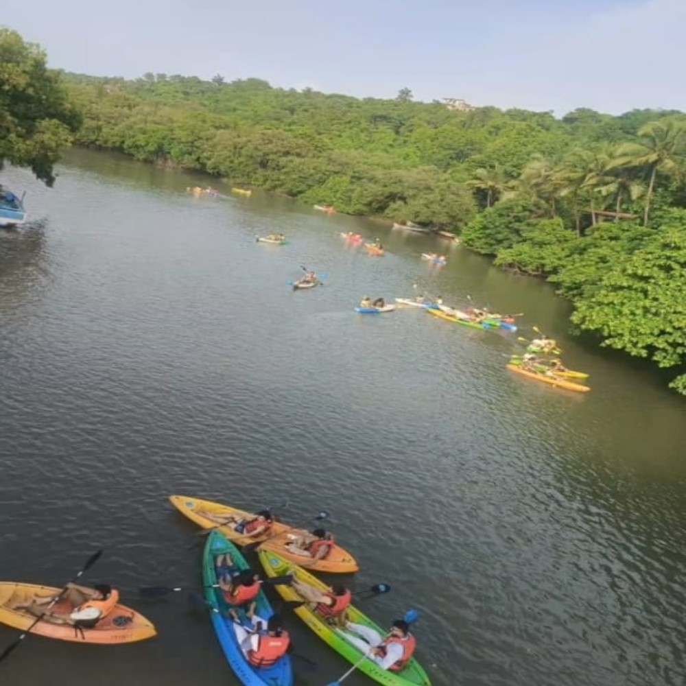 South Goa : Backwater Kayaking on Agonda River