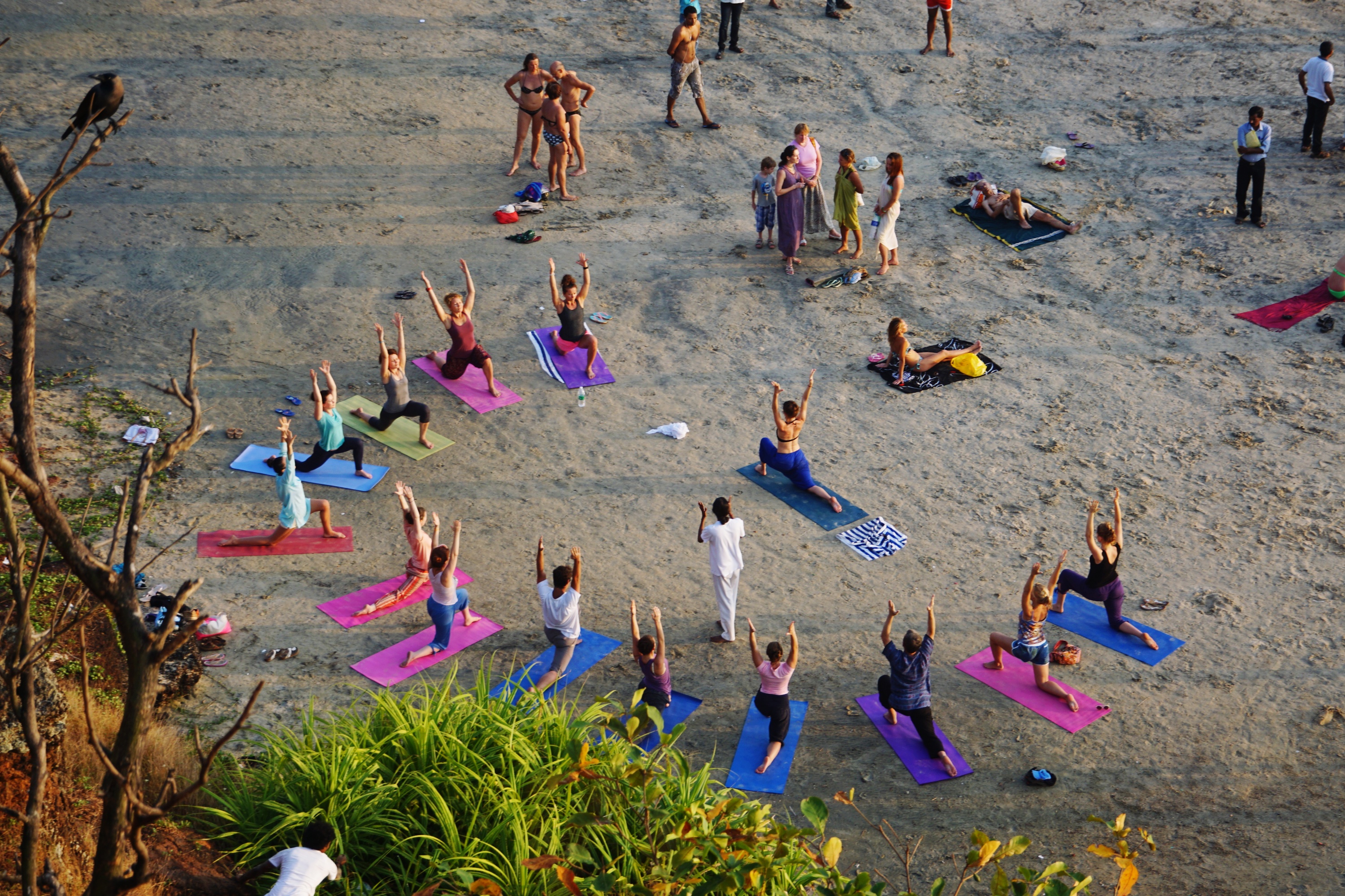North Goa : 11-Day Yoga TTC (100 Hrs) - Dorm Room