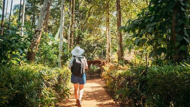 Explore Cotigao Wildlife Sanctuary
