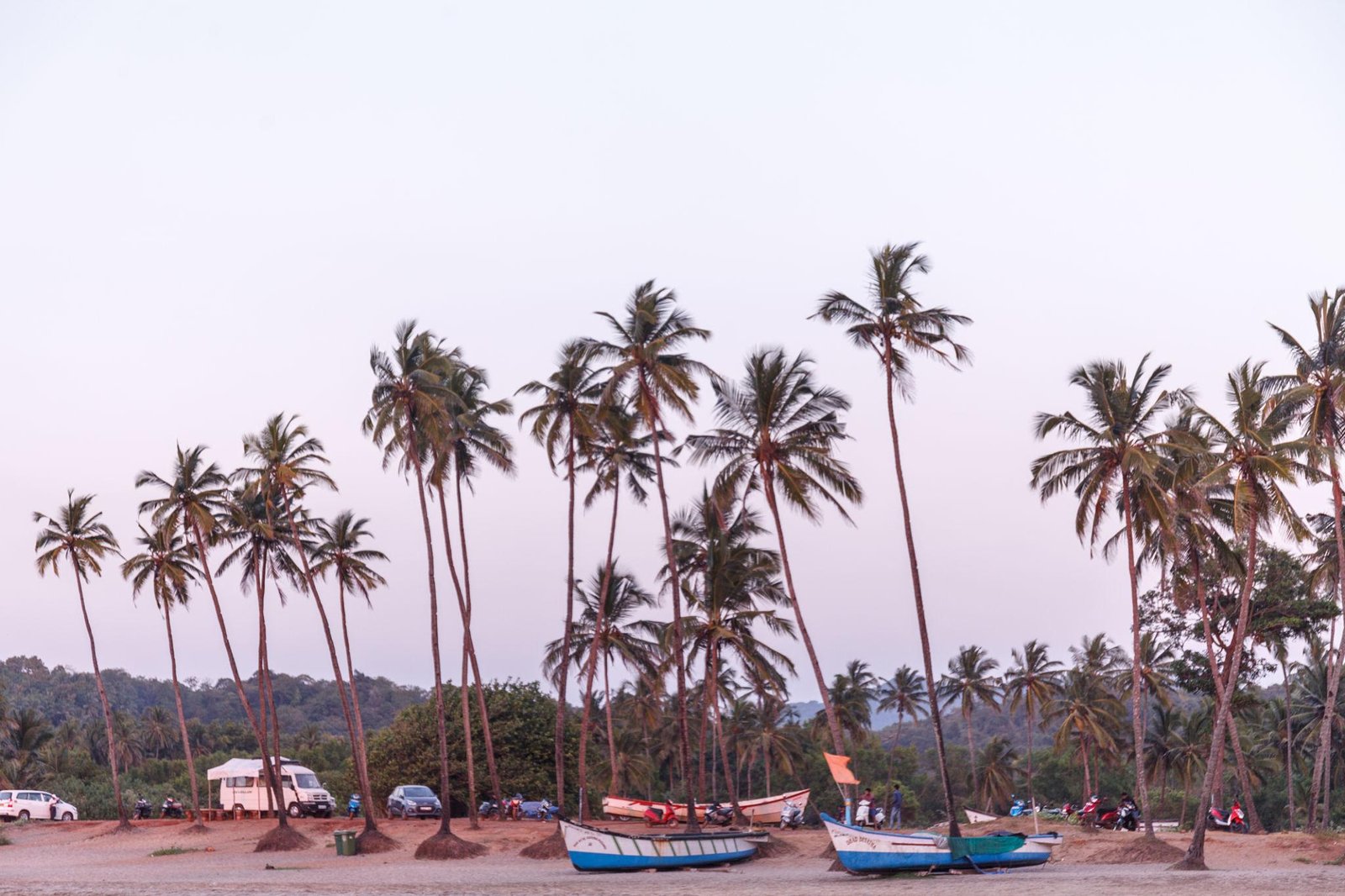Discover the Beauty of Agonda Beach