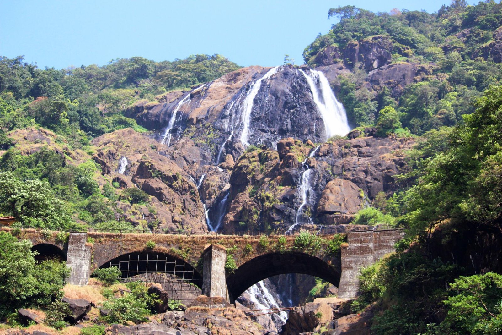 Take a Day Trip to Dudhsagar Waterfalls
