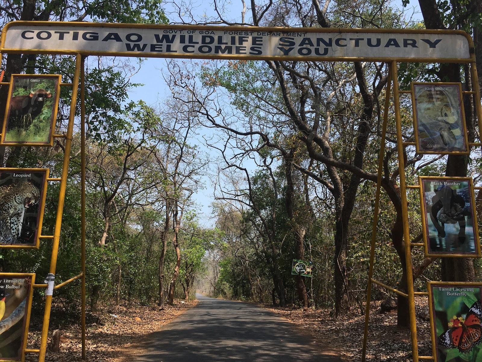 Explore Cotigao Wildlife Sanctuary