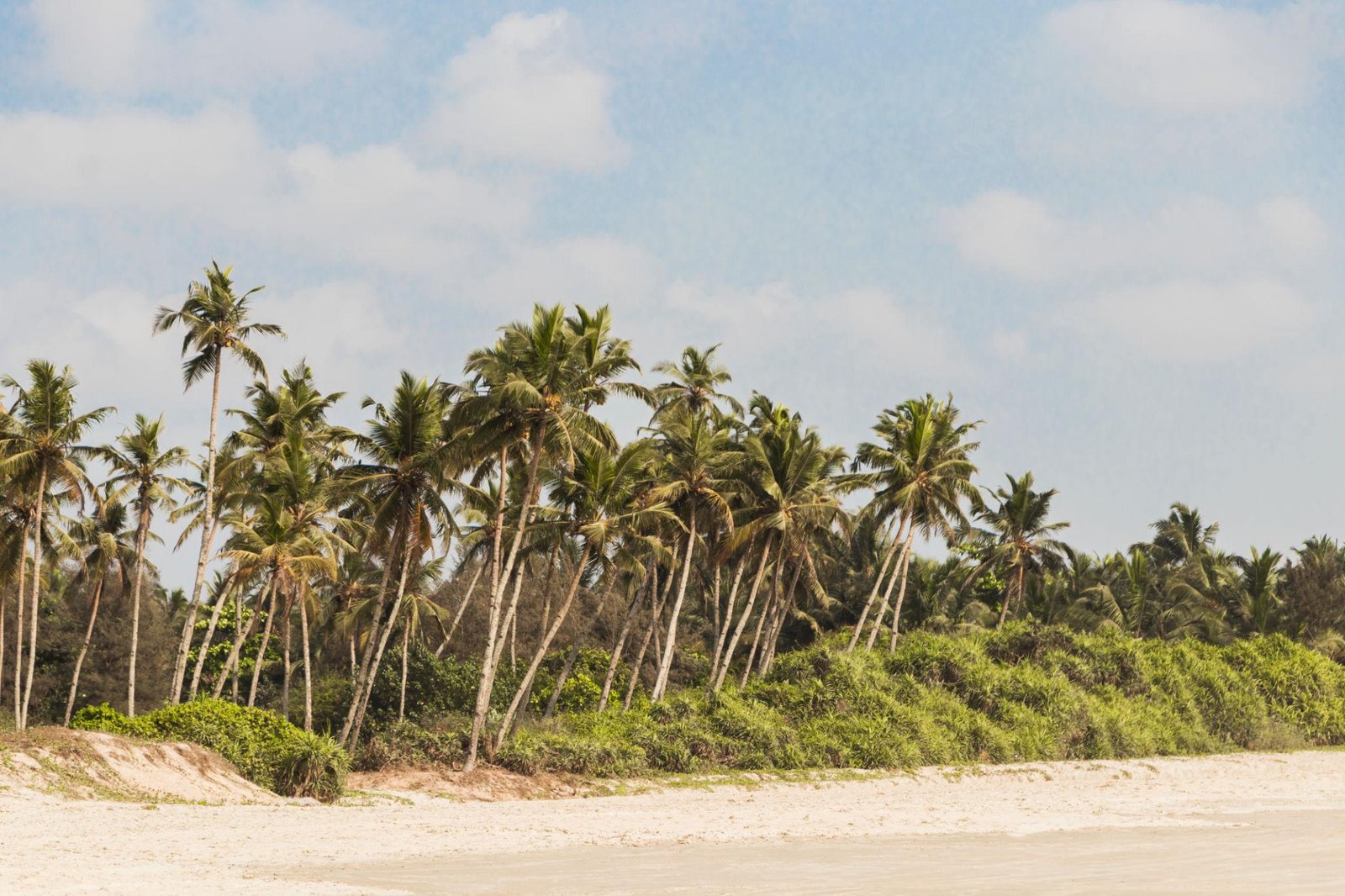 Visit Benaulim Beach