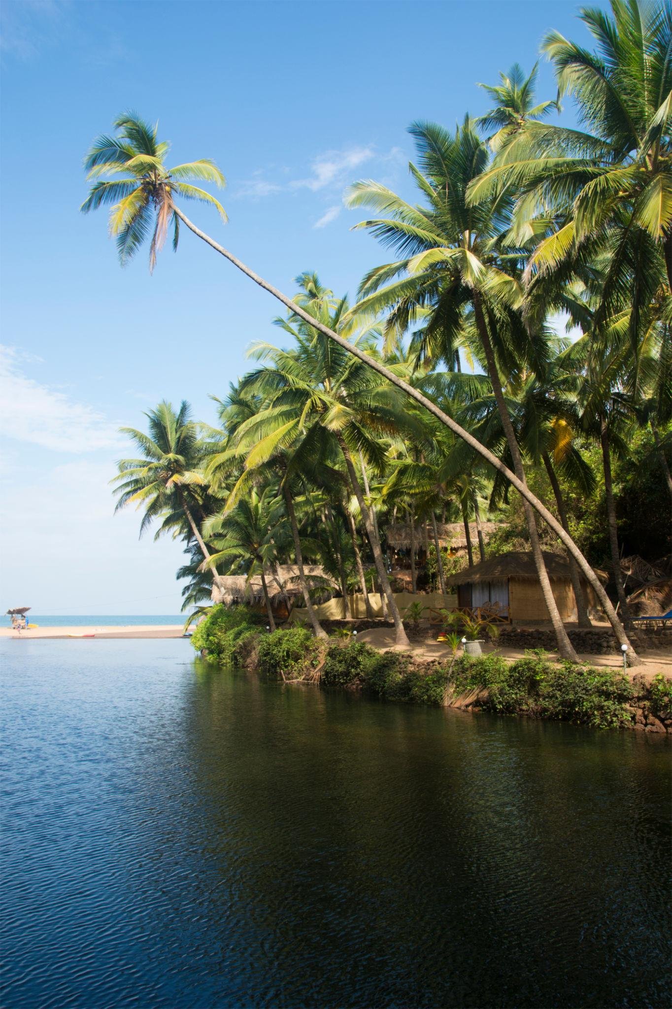 What is South Goa Famous For?