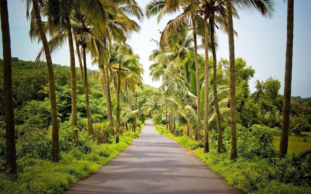 4. Take the scenic village drive from Pomburpa to Panjim