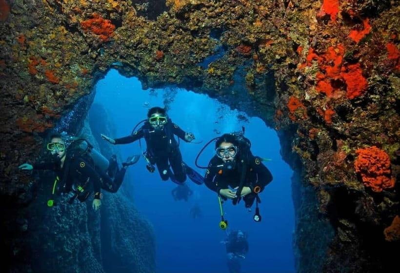 ⭐ 1. Premium Scuba Diving at Grand Island with Water Sports Combo