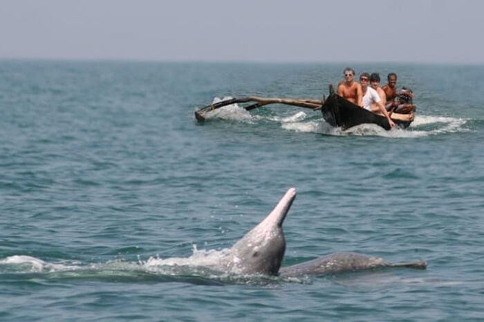 ⭐ 3. Grand Island Scuba Diving (Without Water Sports)