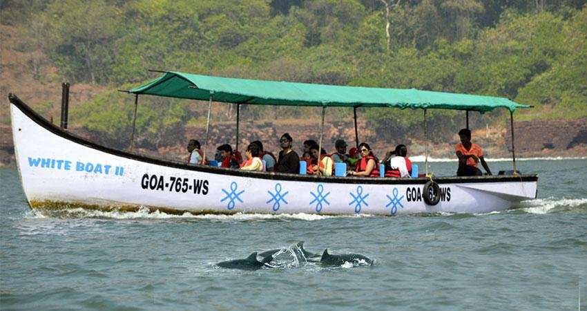 ⭐ 1. Premium Scuba Diving at Grand Island with Water Sports Combo