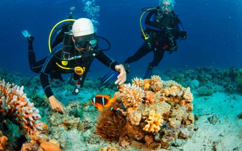 Scuba Diving in Baga Goa : Best Packages, Prices, Tips & Complete Travel Guide