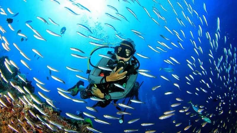 Scuba Diving in Baga Goa : Best Packages, Prices, Tips & Complete Travel Guide