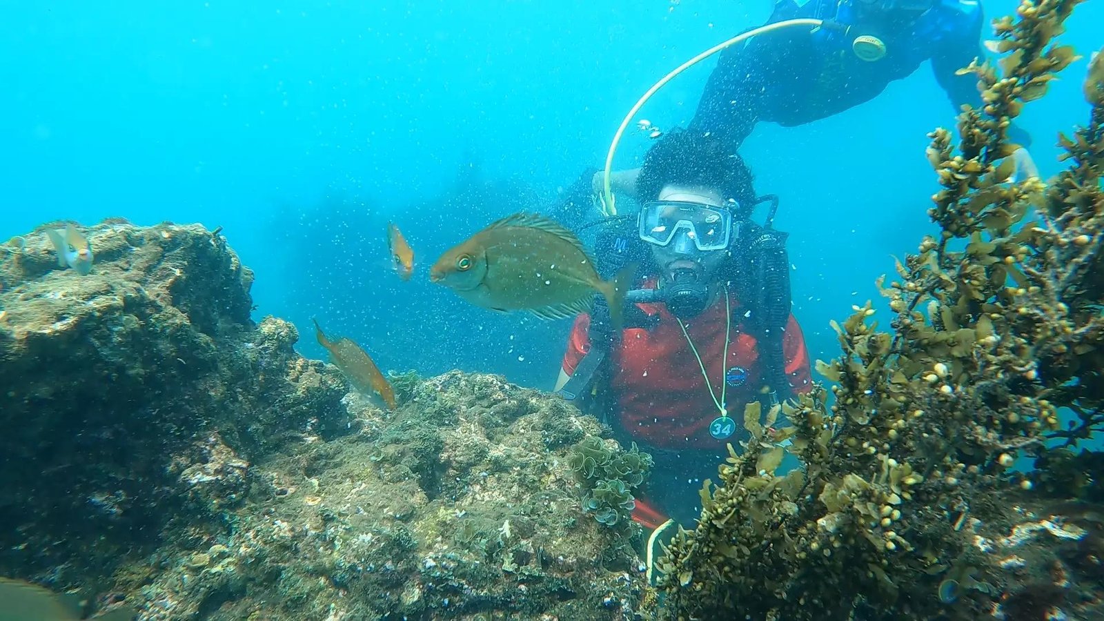 ⭐ 2. Deluxe Scuba Diving at Fort Island with Water Sports