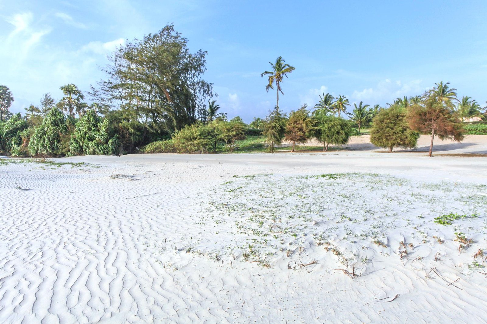 Cavelossim Beach Goa