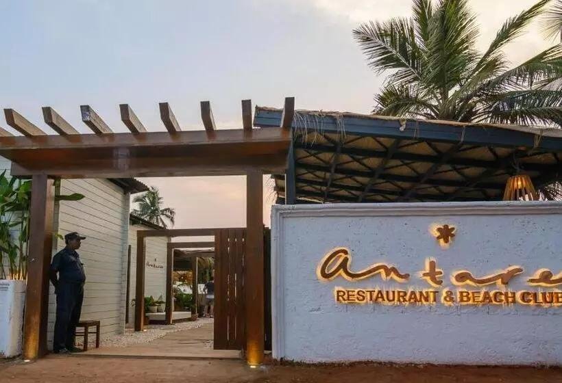 Top Night Clubs in Vagator Goa