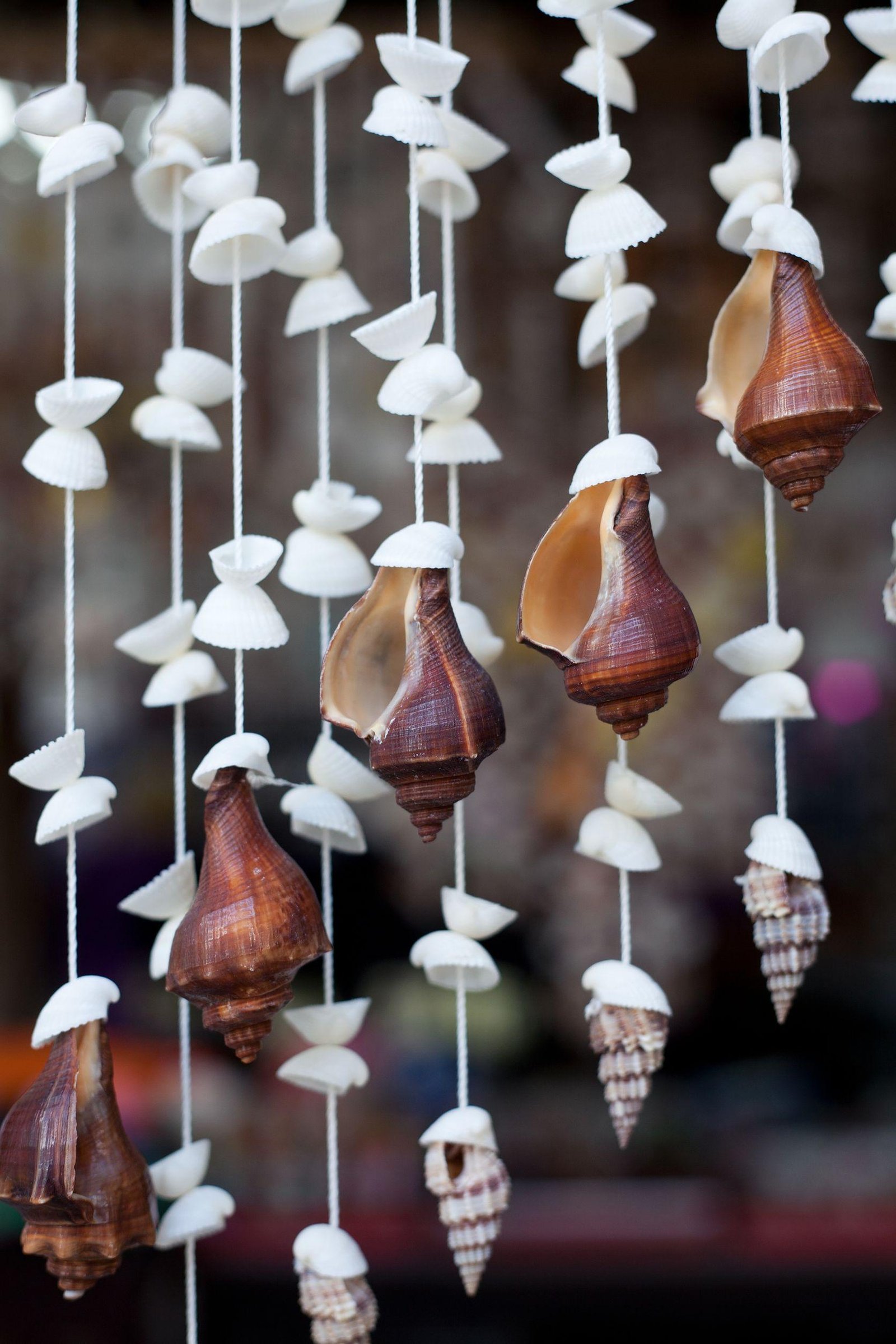Seashell Handicrafts