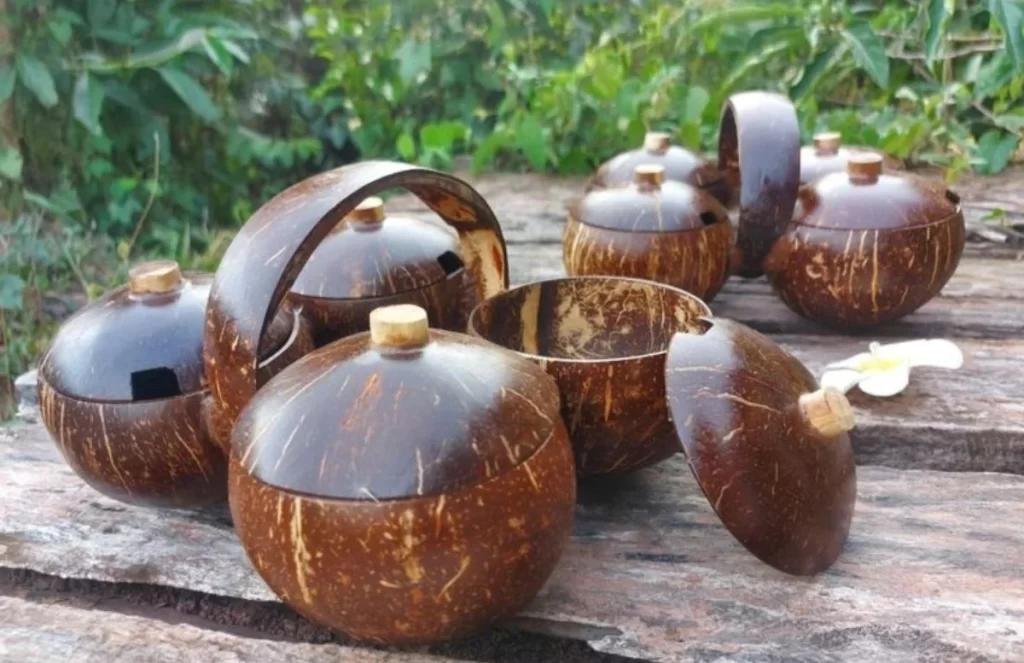 Coconut Shell Crafts