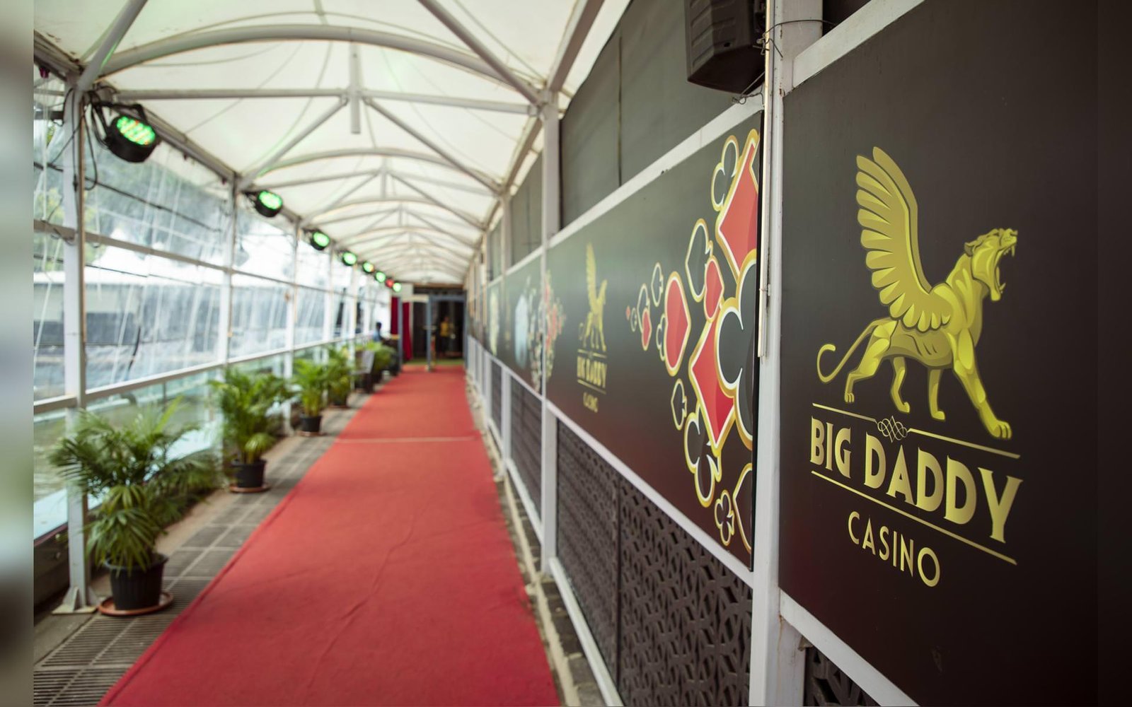 
                    Big Daddy Casino Gallery Image