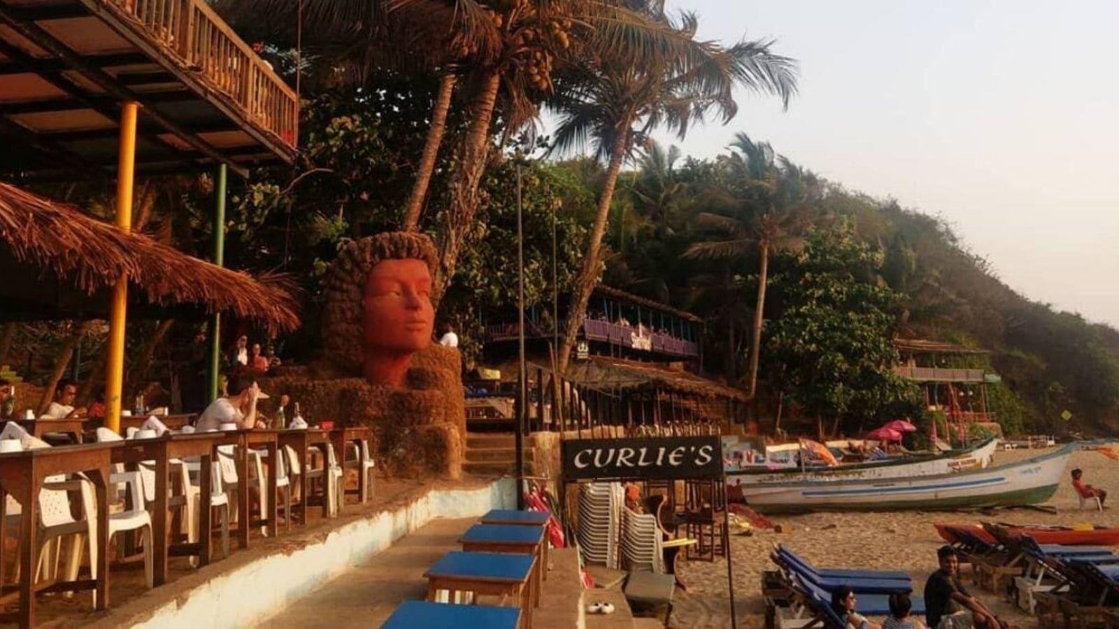 Curlies Goa