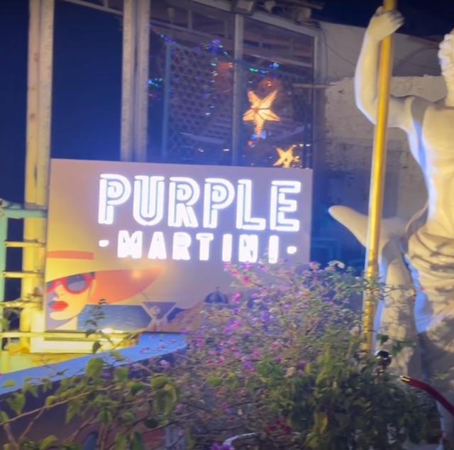 
                    Purple Martini Goa Gallery Image
