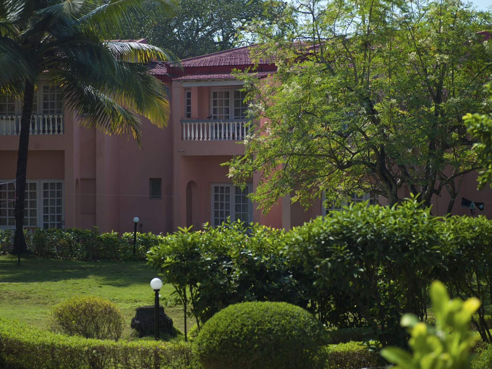 
                    The Pink Elephant Goa Gallery Image