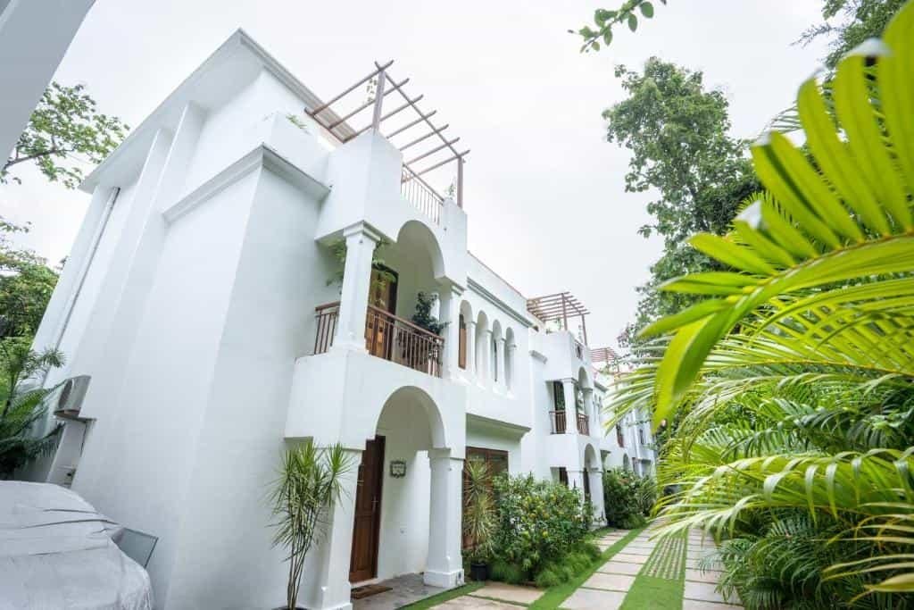 
                    THE WHITE GOA Gallery Image