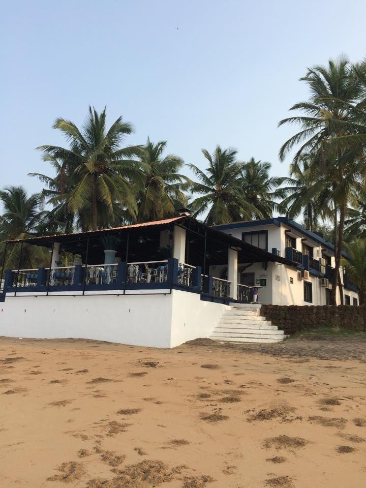 
                    THE WHITE GOA Gallery Image
