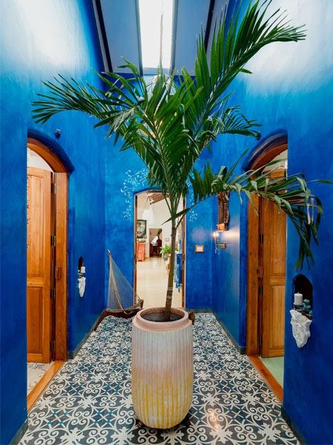 
                    THE WHITE GOA Gallery Image