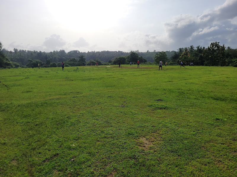 Cricketers