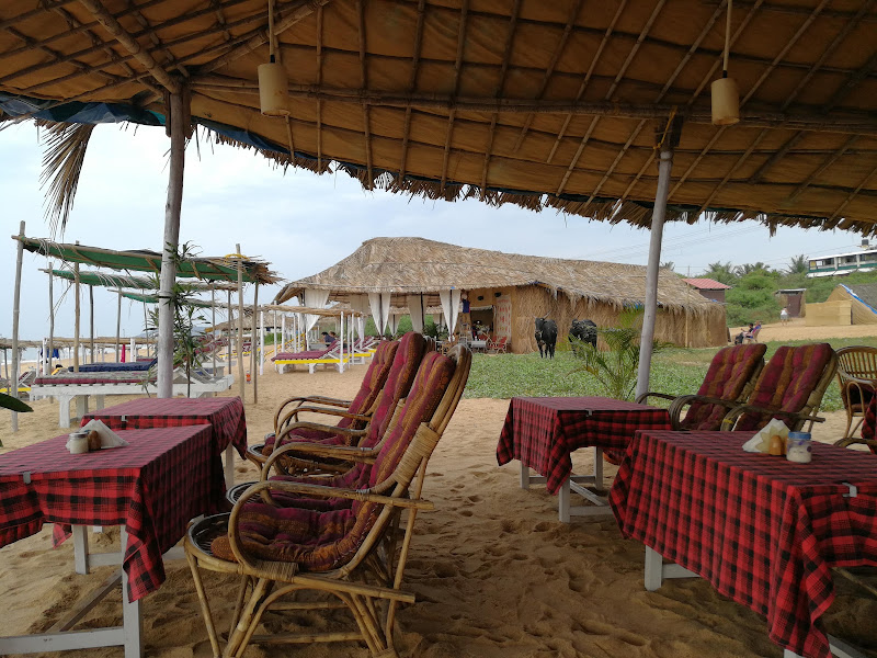 Savio's Shack
