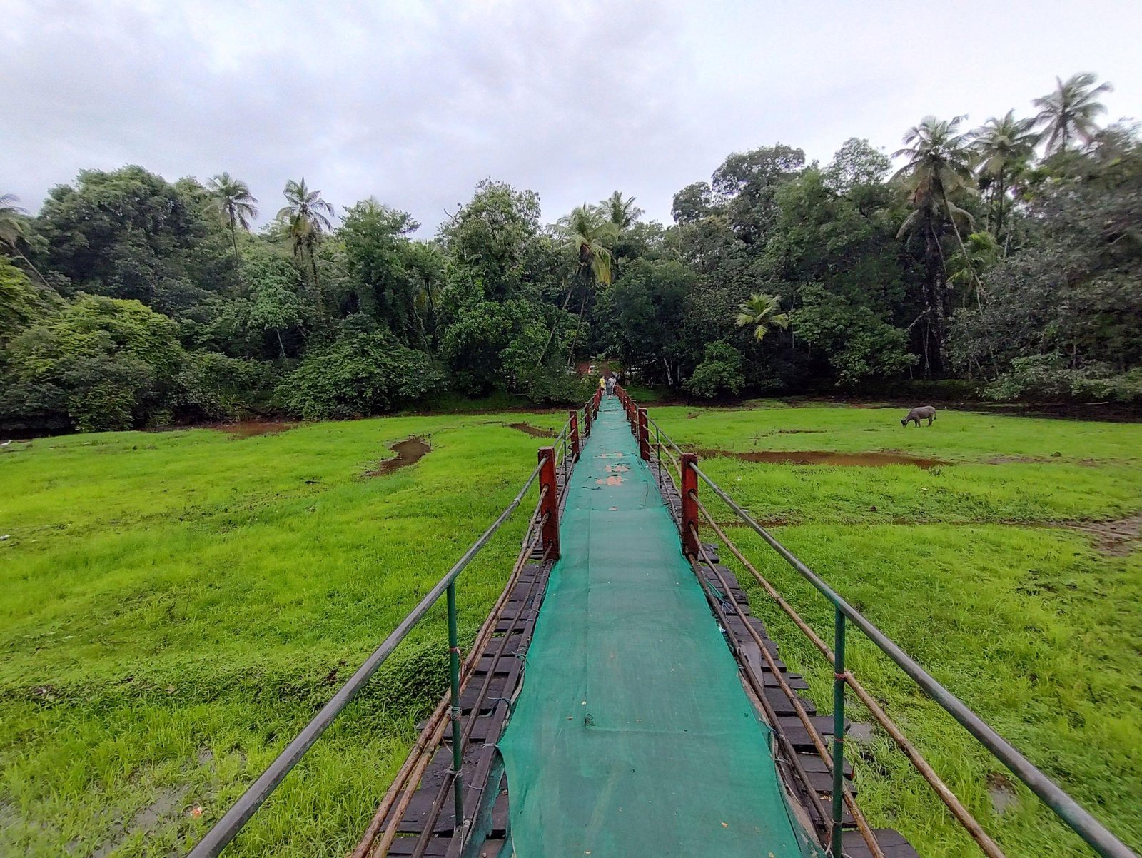 Goa in August - Scenic rainy days and tranquil nature escapes in the off-season - 1