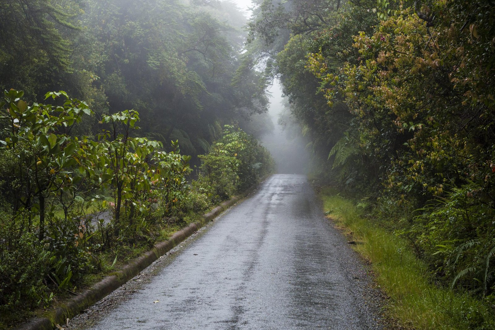 Goa in August - Scenic rainy days and tranquil nature escapes in the off-season - 2