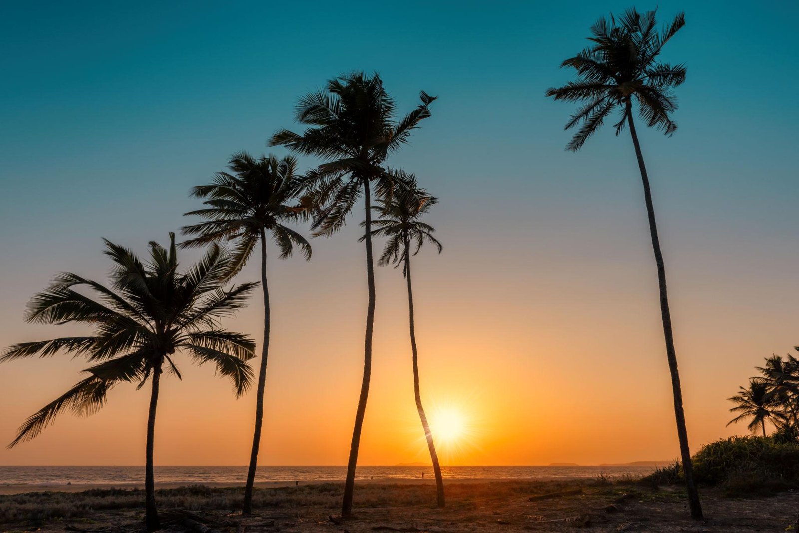 Best Time to Visit Goa: Month-by-Month Guide
