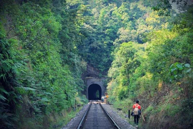 Coorg