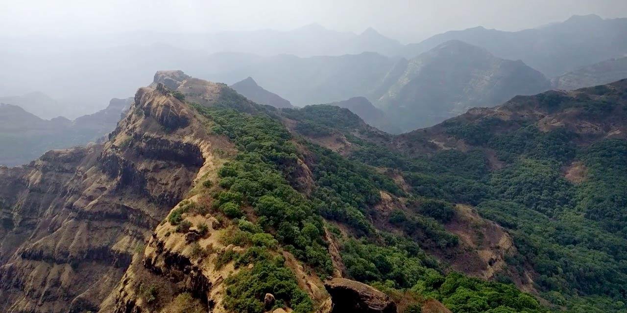 Dandeli